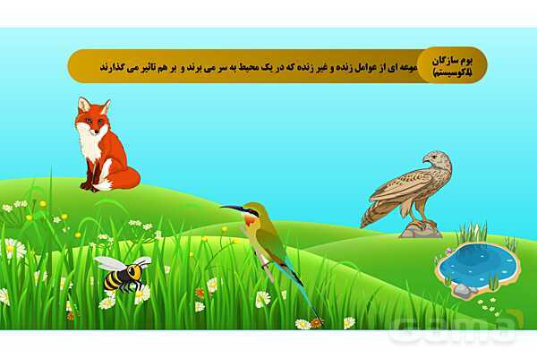 پاورپوینت تدریس مفهومی علوم تجربی نهم | فصل 15: با هم زیستن- پیش نمایش