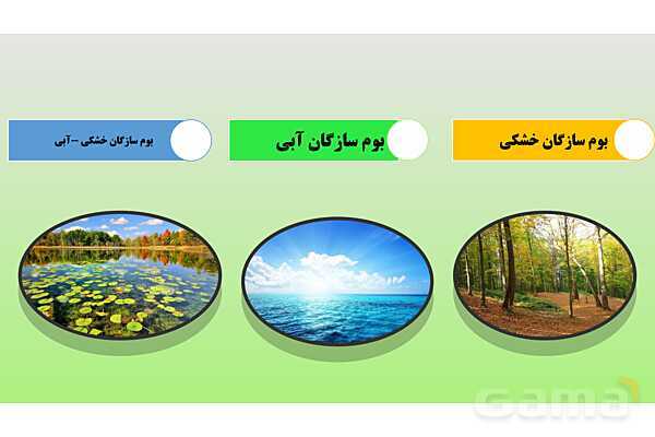 پاورپوینت تدریس مفهومی علوم تجربی نهم | فصل 15: با هم زیستن- پیش نمایش