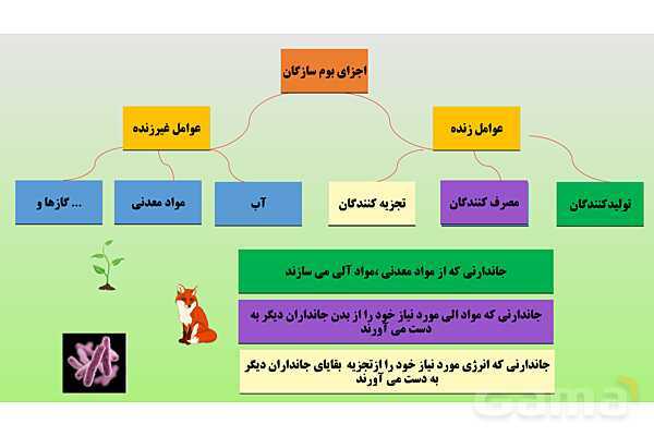 پاورپوینت تدریس مفهومی علوم تجربی نهم | فصل 15: با هم زیستن- پیش نمایش
