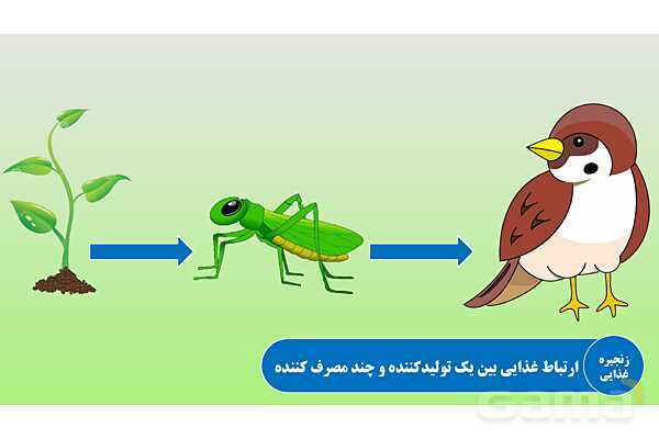 پاورپوینت تدریس مفهومی علوم تجربی نهم | فصل 15: با هم زیستن- پیش نمایش