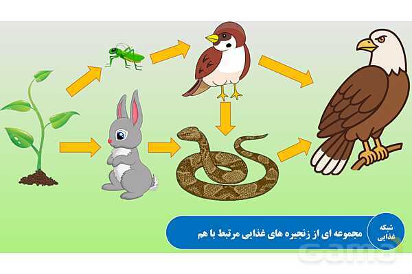 پاورپوینت تدریس مفهومی علوم تجربی نهم | فصل 15: با هم زیستن- پیش نمایش