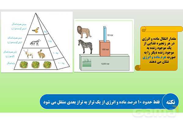 پاورپوینت تدریس مفهومی علوم تجربی نهم | فصل 15: با هم زیستن- پیش نمایش