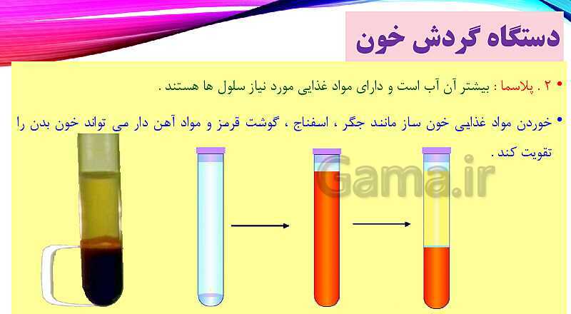 پاورپوینت بدن ما 2- پیش نمایش