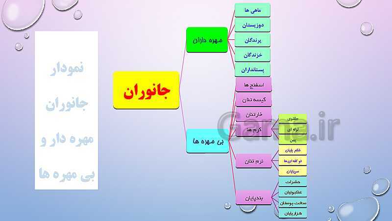 پاورپوینت بی مهره‌ها- پیش نمایش