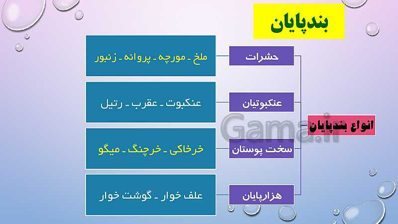 پاورپوینت بی مهره‌ها- پیش نمایش