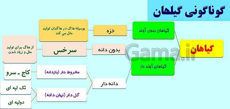 پاورپوینت گوناگونی گیاهان- پیش نمایش