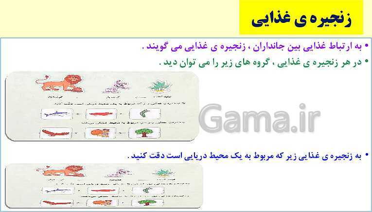 پاورپوینت زیستگاه- پیش نمایش