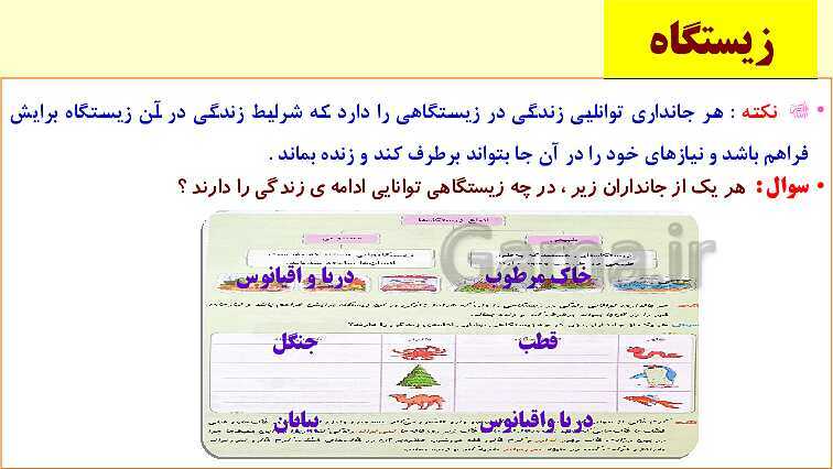 پاورپوینت زیستگاه- پیش نمایش