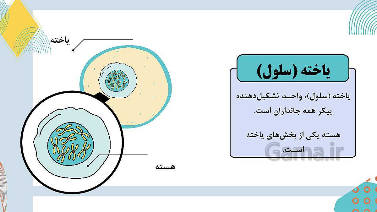 پاورپوینت آموزشی فصل 7: الفبای زیست فناوری | علوم هشتم- پیش نمایش