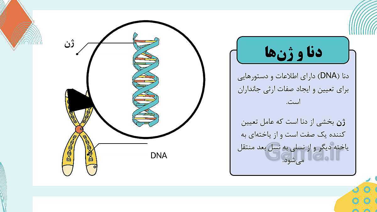 پاورپوینت آموزشی فصل 7: الفبای زیست فناوری | علوم هشتم- پیش نمایش