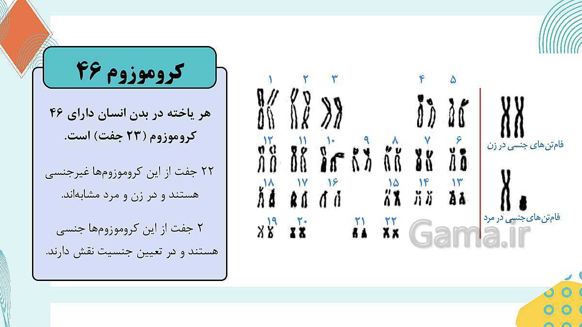 پاورپوینت آموزشی فصل 7: الفبای زیست فناوری | علوم هشتم- پیش نمایش