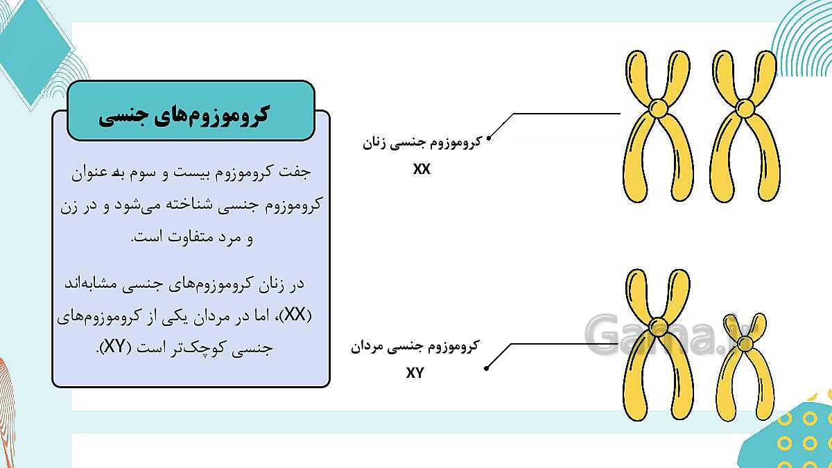 پاورپوینت آموزشی فصل 7: الفبای زیست فناوری | علوم هشتم- پیش نمایش