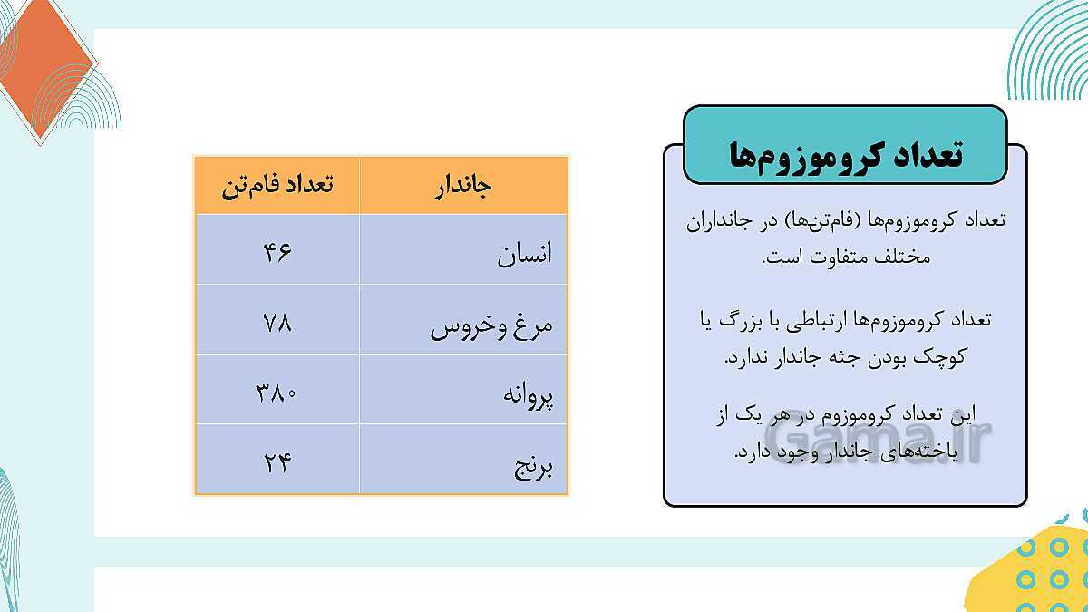 پاورپوینت آموزشی فصل 7: الفبای زیست فناوری | علوم هشتم- پیش نمایش