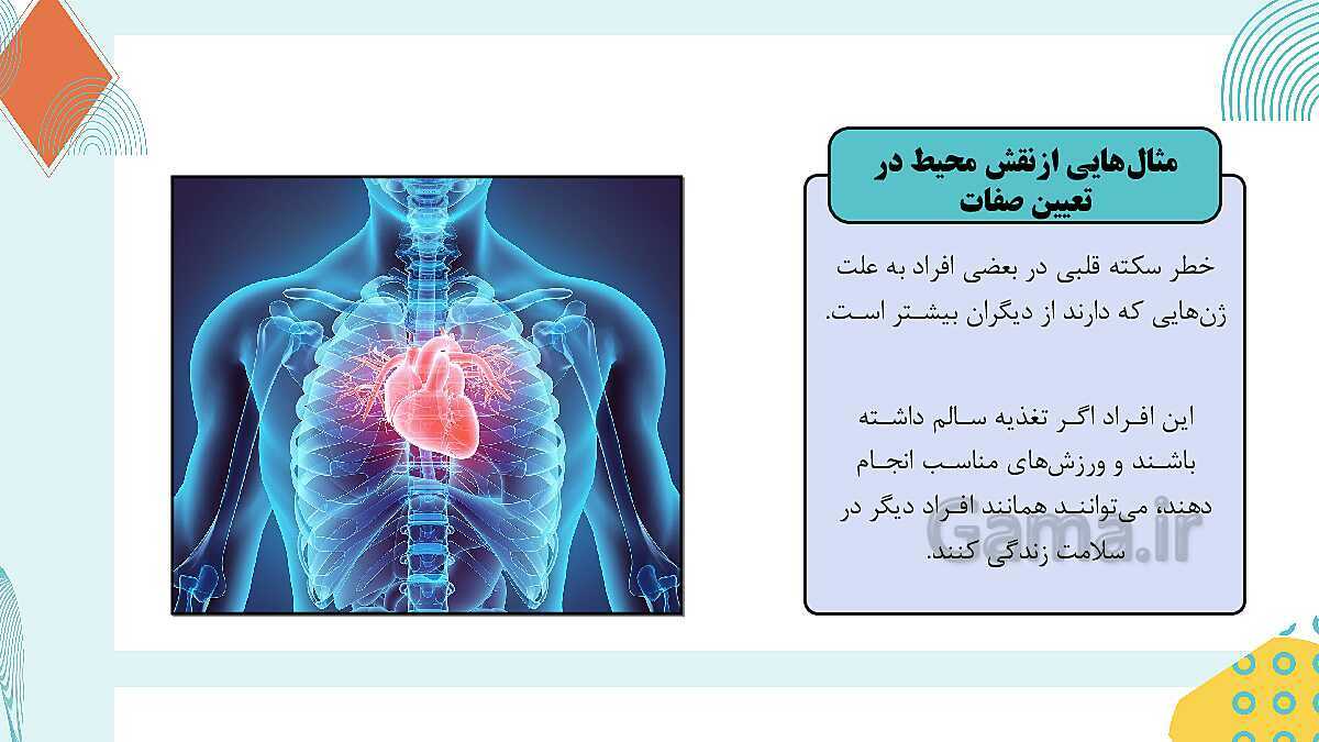 پاورپوینت آموزشی فصل 7: الفبای زیست فناوری | علوم هشتم- پیش نمایش