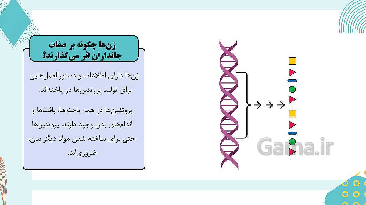 پاورپوینت آموزشی فصل 7: الفبای زیست فناوری | علوم هشتم- پیش نمایش