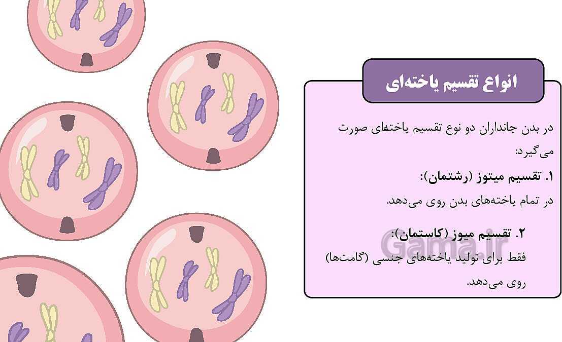 پاورپوینت آموزشی فصل 7: الفبای زیست فناوری | علوم هشتم- پیش نمایش