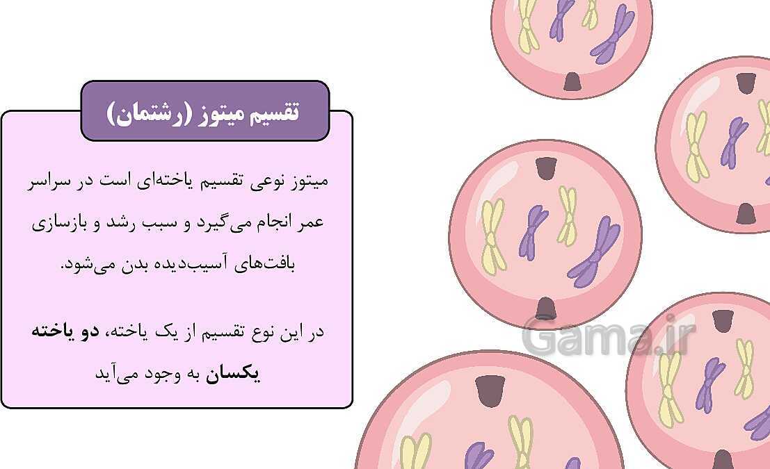 پاورپوینت آموزشی فصل 7: الفبای زیست فناوری | علوم هشتم- پیش نمایش