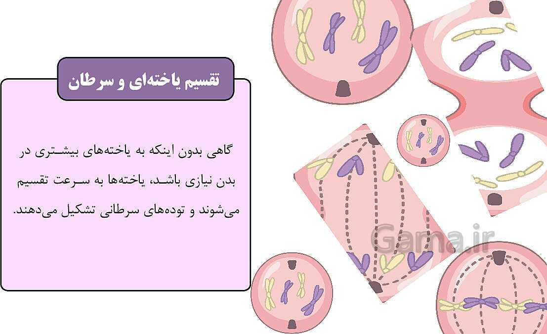 پاورپوینت آموزشی فصل 7: الفبای زیست فناوری | علوم هشتم- پیش نمایش