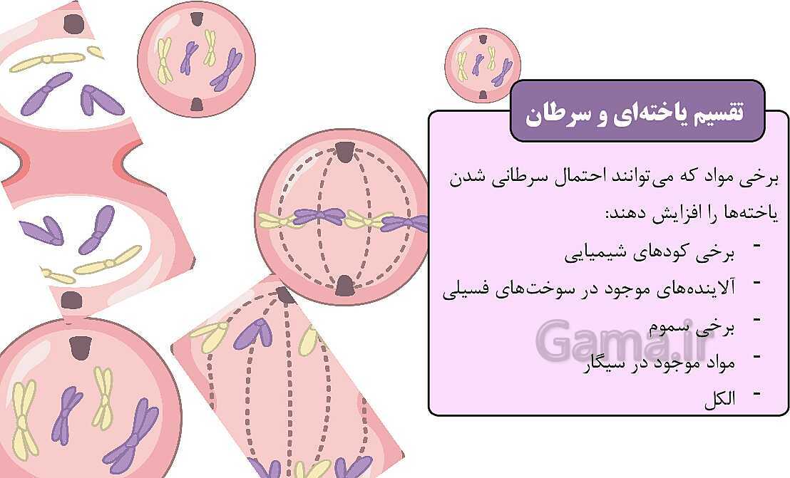 پاورپوینت آموزشی فصل 7: الفبای زیست فناوری | علوم هشتم- پیش نمایش