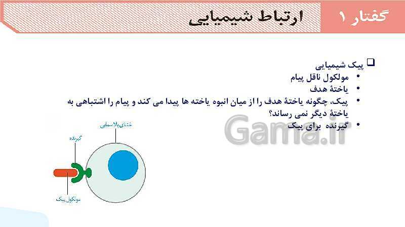 آموزش گفتار 1 فصل چهارم: ارتباط شیمیایی | زیست شناسی یازدهم- پیش نمایش