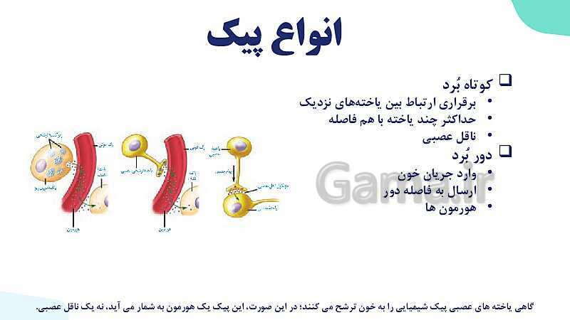 آموزش گفتار 1 فصل چهارم: ارتباط شیمیایی | زیست شناسی یازدهم- پیش نمایش