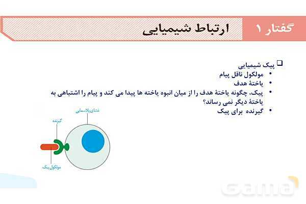 آموزش گفتار 1 فصل چهارم: ارتباط شیمیایی | زیست شناسی یازدهم- پیش نمایش