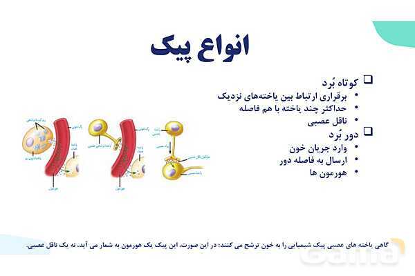 آموزش گفتار 1 فصل چهارم: ارتباط شیمیایی | زیست شناسی یازدهم- پیش نمایش