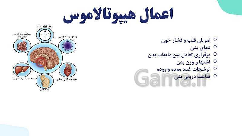 آموزش گفتار 2 فصل چهارم: غده های درون ریز | زیست شناسی یازدهم- پیش نمایش