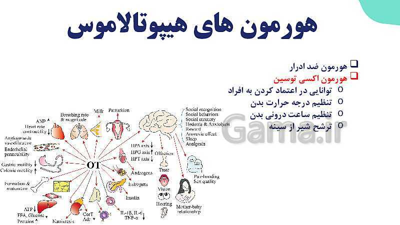 آموزش گفتار 2 فصل چهارم: غده های درون ریز | زیست شناسی یازدهم- پیش نمایش