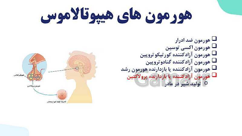 آموزش گفتار 2 فصل چهارم: غده های درون ریز | زیست شناسی یازدهم- پیش نمایش