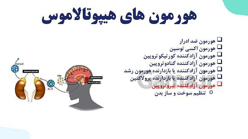 آموزش گفتار 2 فصل چهارم: غده های درون ریز | زیست شناسی یازدهم- پیش نمایش