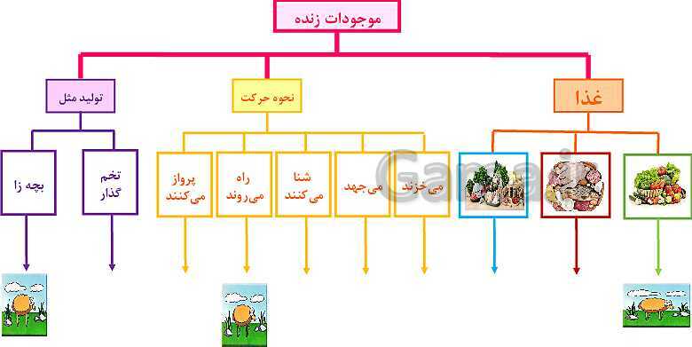 پاورپوینت طبقه بندی جانوران- پیش نمایش