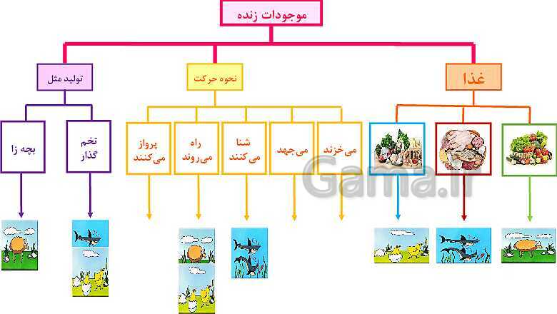 پاورپوینت طبقه بندی جانوران- پیش نمایش