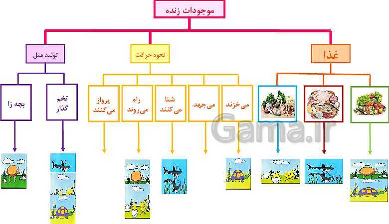 پاورپوینت طبقه بندی جانوران- پیش نمایش