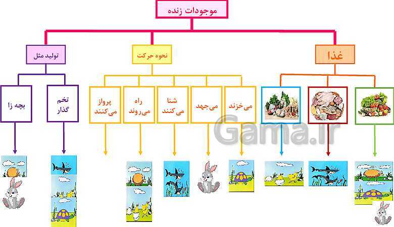 پاورپوینت طبقه بندی جانوران- پیش نمایش