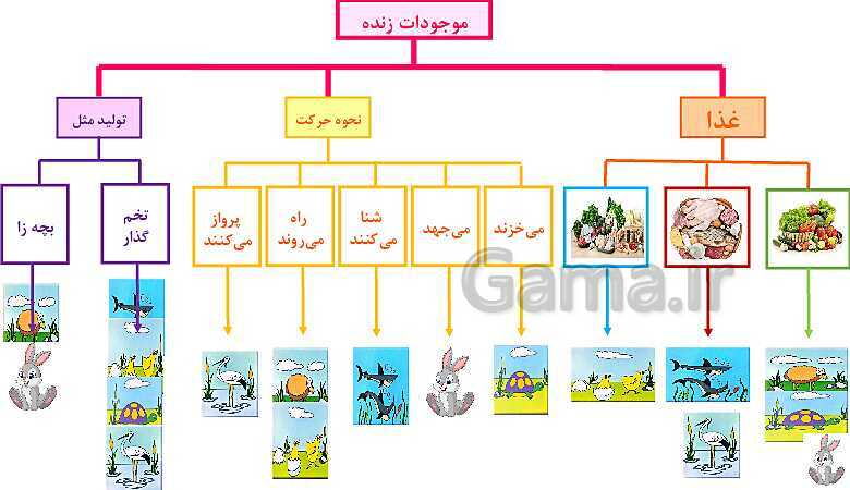 پاورپوینت طبقه بندی جانوران- پیش نمایش