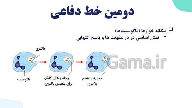 آموزش گفتار 2 فصل پنجم: دومین خط دفاعی؛ واکنش‌های عمومی اما سریع | زیست شناسی یازدهم- پیش نمایش