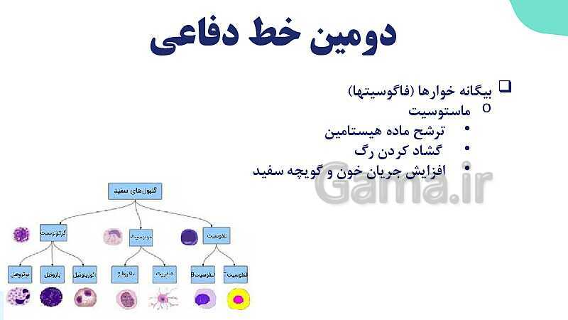 آموزش گفتار 2 فصل پنجم: دومین خط دفاعی؛ واکنش‌های عمومی اما سریع | زیست شناسی یازدهم- پیش نمایش