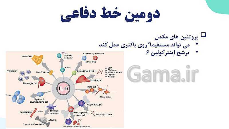 آموزش گفتار 2 فصل پنجم: دومین خط دفاعی؛ واکنش‌های عمومی اما سریع | زیست شناسی یازدهم- پیش نمایش