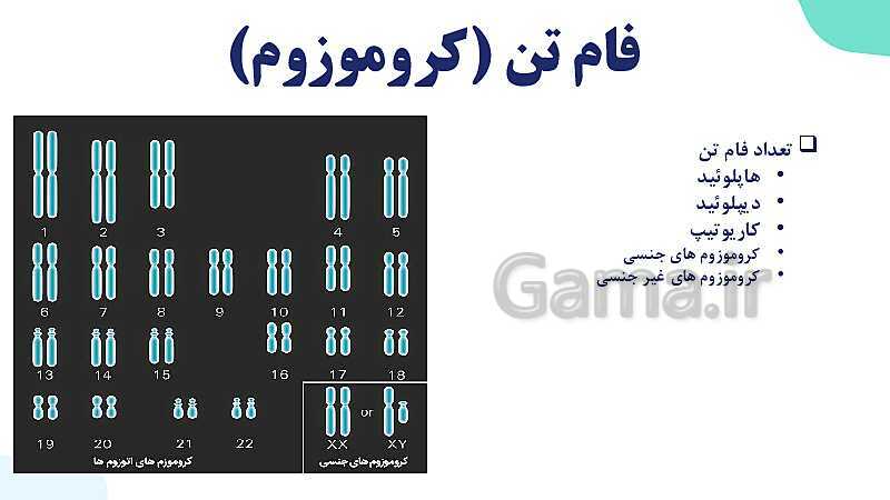 آموزش گفتار 1 فصل ششم: کروموزوم | زیست شناسی یازدهم- پیش نمایش