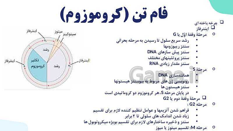 آموزش گفتار 1 فصل ششم: کروموزوم | زیست شناسی یازدهم- پیش نمایش