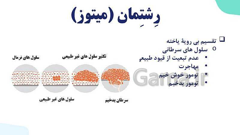 آموزش گفتار 2 فصل ششم: میتوز | زیست شناسی یازدهم- پیش نمایش