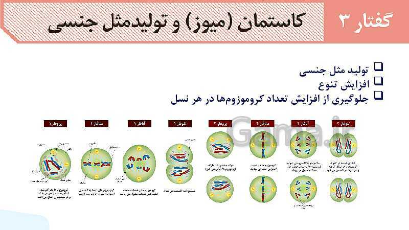 آموزش گفتار 3 فصل ششم: میوز و تولید مثل جنسی | زیست شناسی یازدهم- پیش نمایش