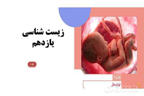 آموزش گفتار 1 فصل هفتم: دستگاه تولید مثل در مرد | زیست شناسی یازدهم- پیش نمایش