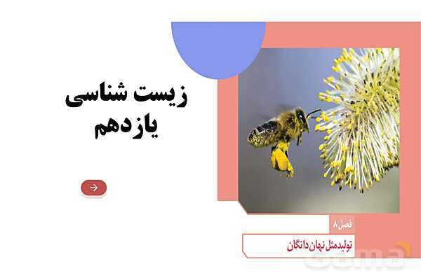 آموزش فصل هشتم: تولید مثل نهان دانگان | زیست شناسی یازدهم- پیش نمایش