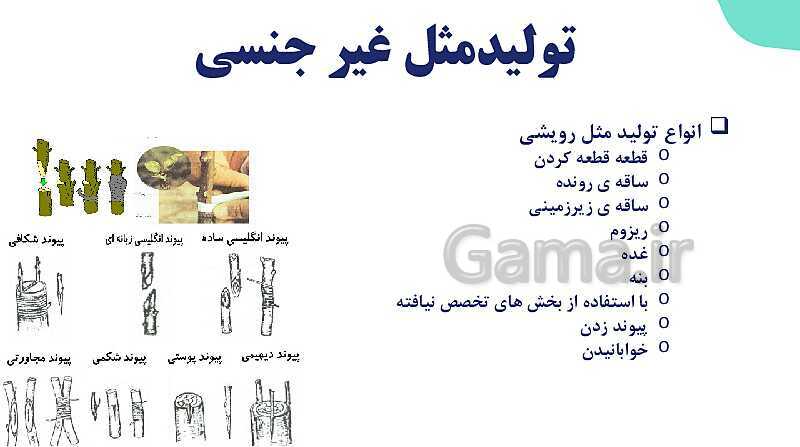 آموزش فصل هشتم: تولید مثل نهان دانگان | زیست شناسی یازدهم- پیش نمایش