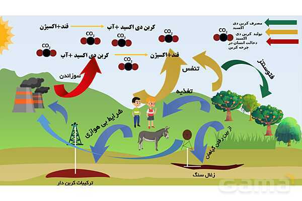 پاورپوینت تدریس مفهومی علوم تجربی نهم | فصل 3: به دنبال محیطی بهتر برای زندگی- پیش نمایش