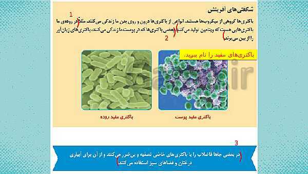 پاورپوینت علوم ششم ابتدایی - درس 13 سالم بمانیم- پیش نمایش