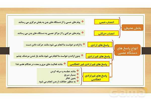 پاورپوینت دستگاه عصبی (فصل 4 علوم هشتم)- پیش نمایش