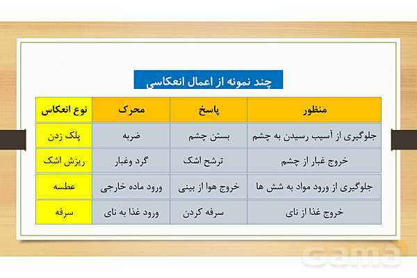 پاورپوینت دستگاه عصبی (فصل 4 علوم هشتم)- پیش نمایش